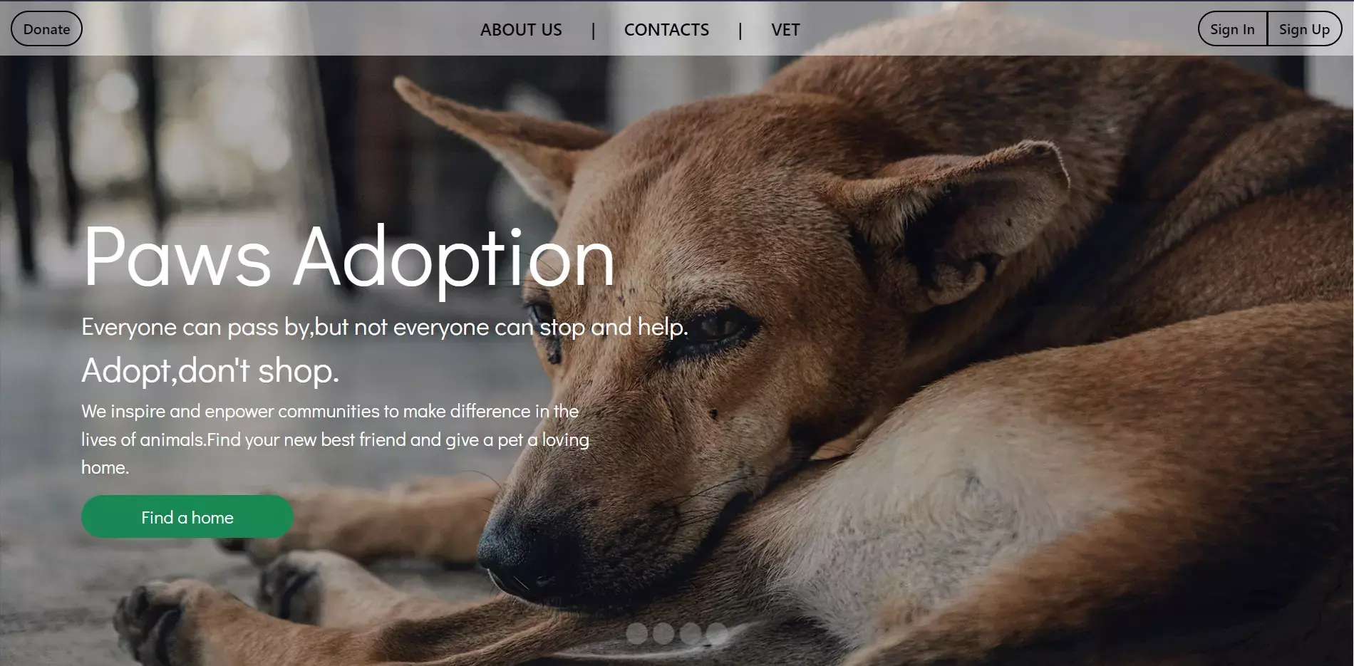 Paws Adoption